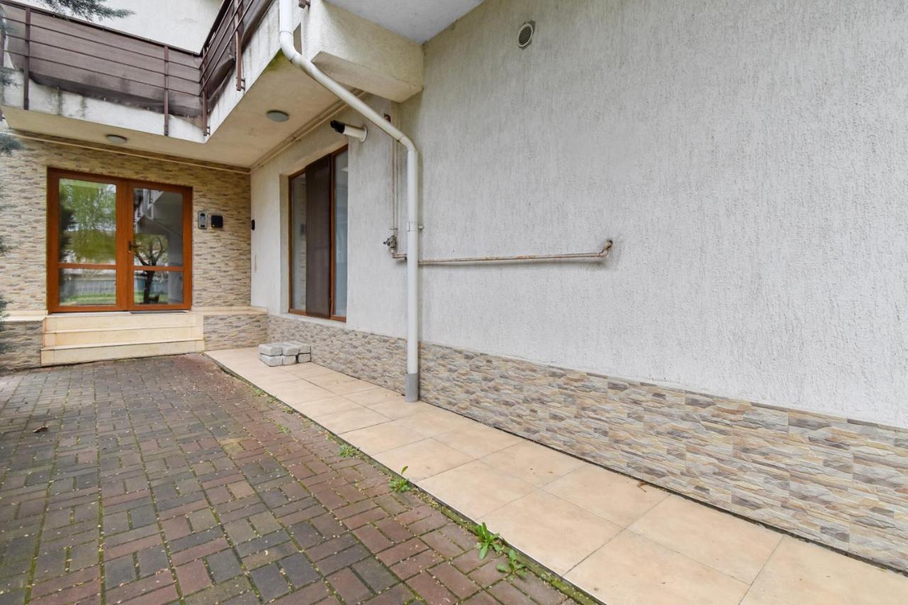 Homestay Отопени Экстерьер фото